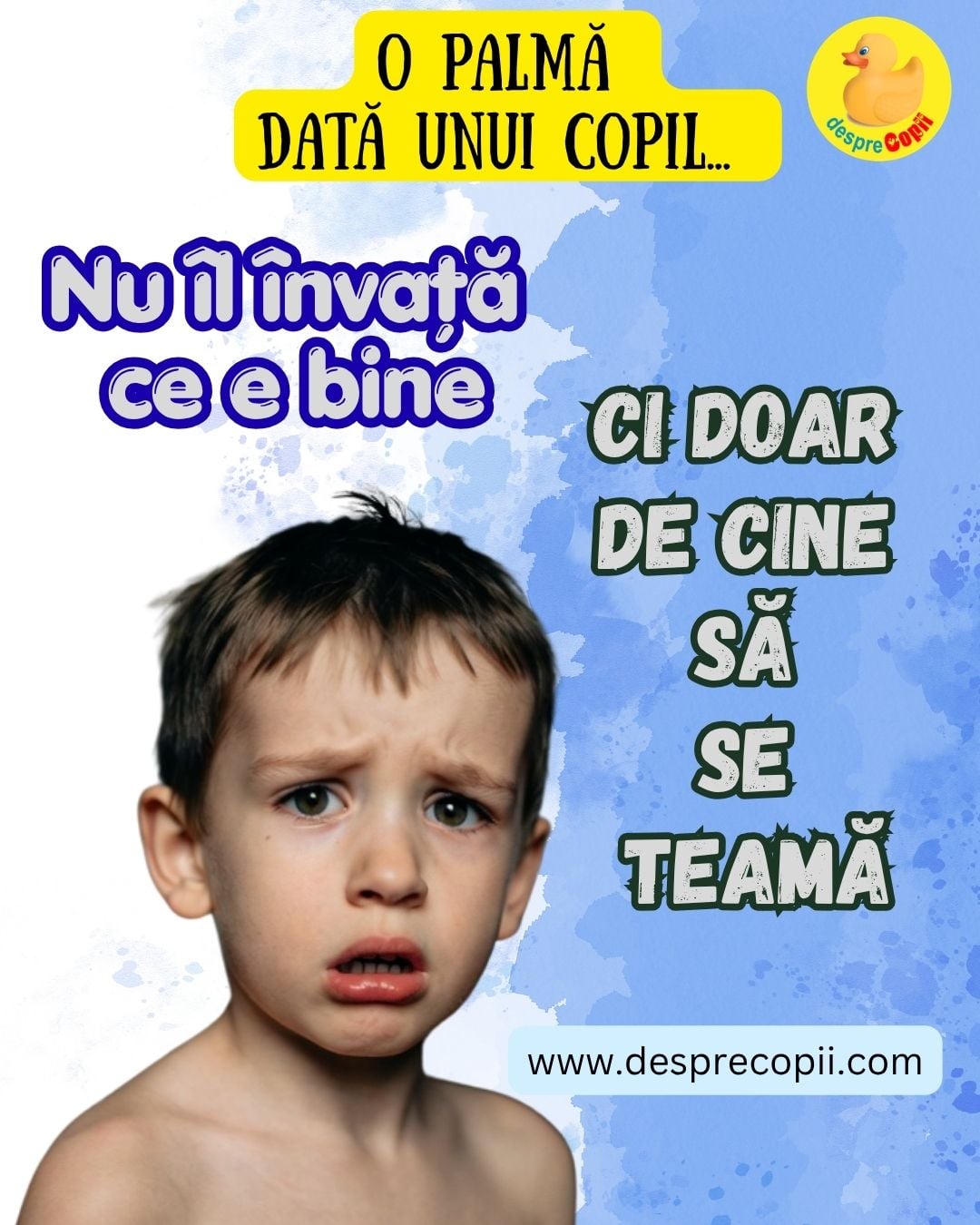 bataie palma copil
